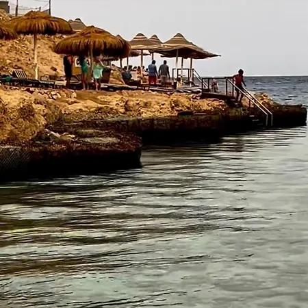 Coral Sultan Tre